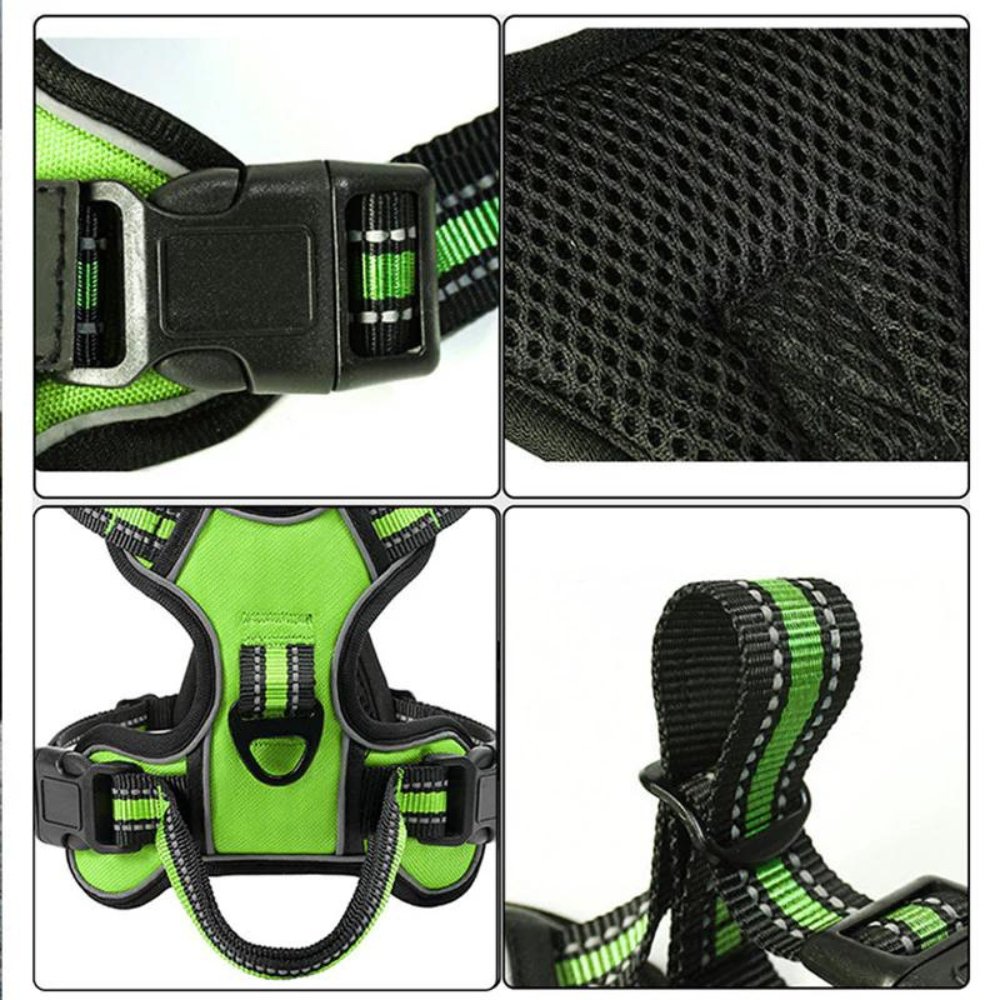 FlexHarness  •  Kein Zieh-Hundegeschirr
