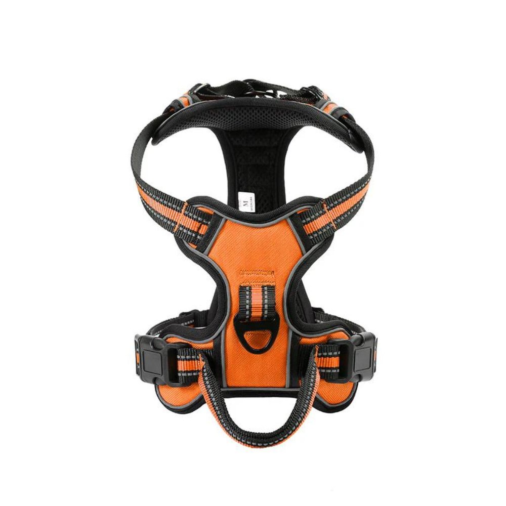 FlexHarness  •  Kein Zieh-Hundegeschirr