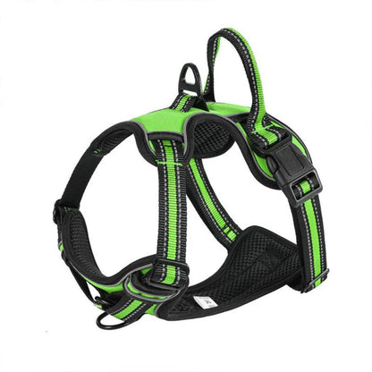 FlexHarness  •  Kein Zieh-Hundegeschirr