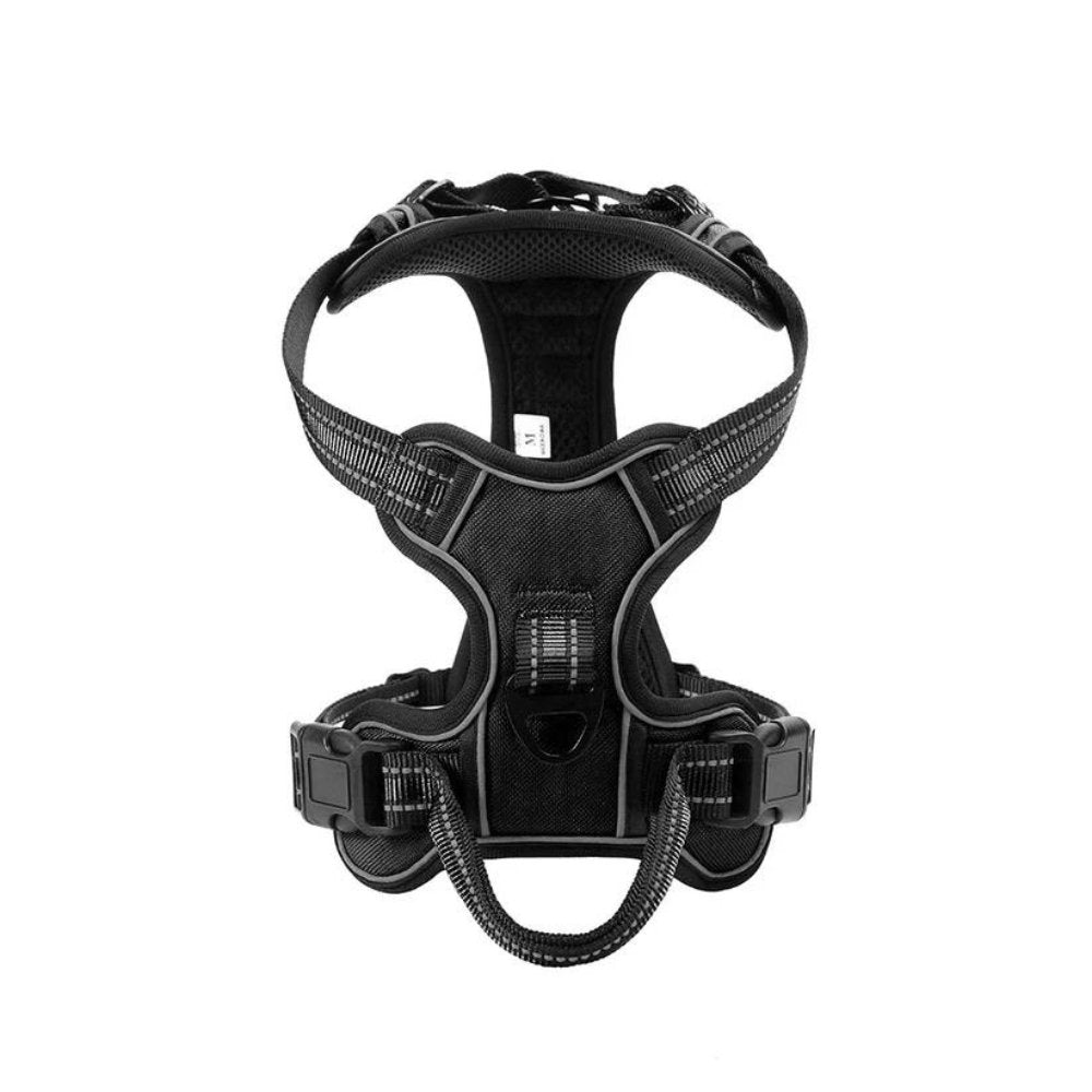 FlexHarness  •  Kein Zieh-Hundegeschirr