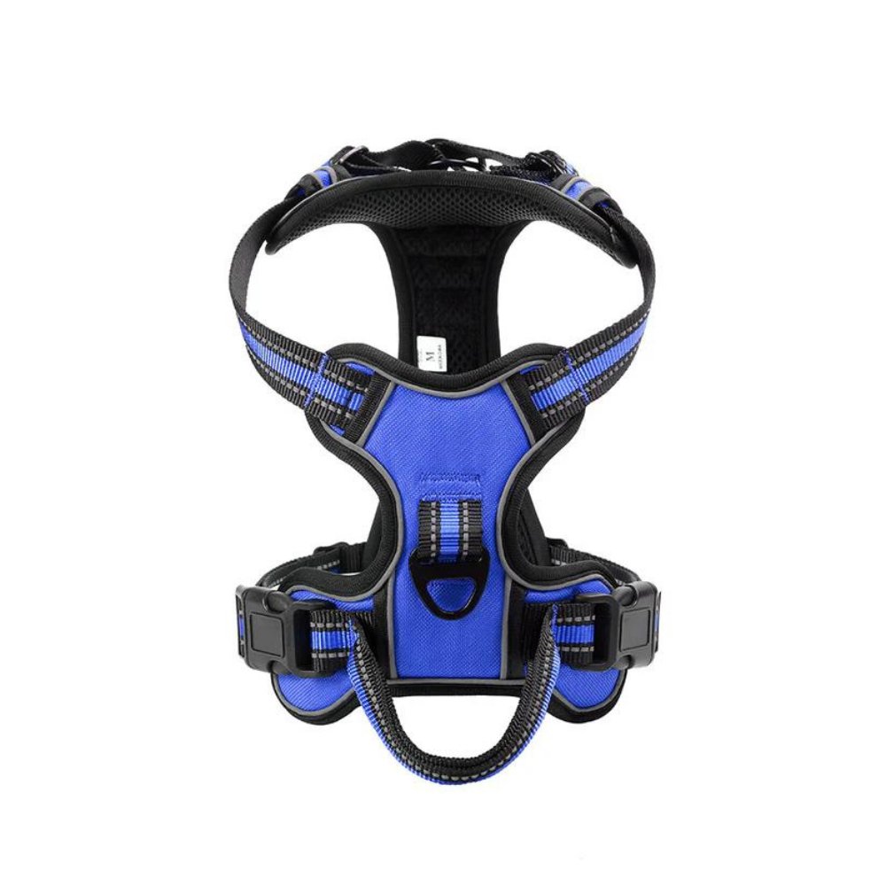FlexHarness  •  Kein Zieh-Hundegeschirr