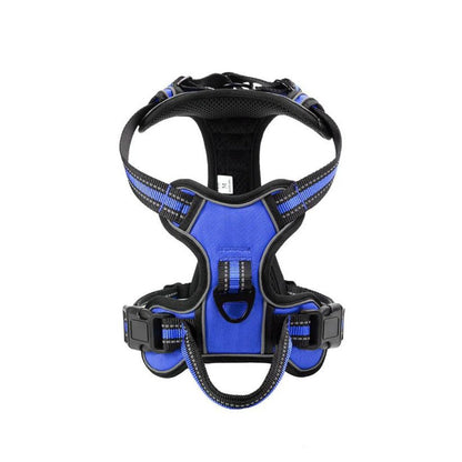 FlexHarness  •  Kein Zieh-Hundegeschirr