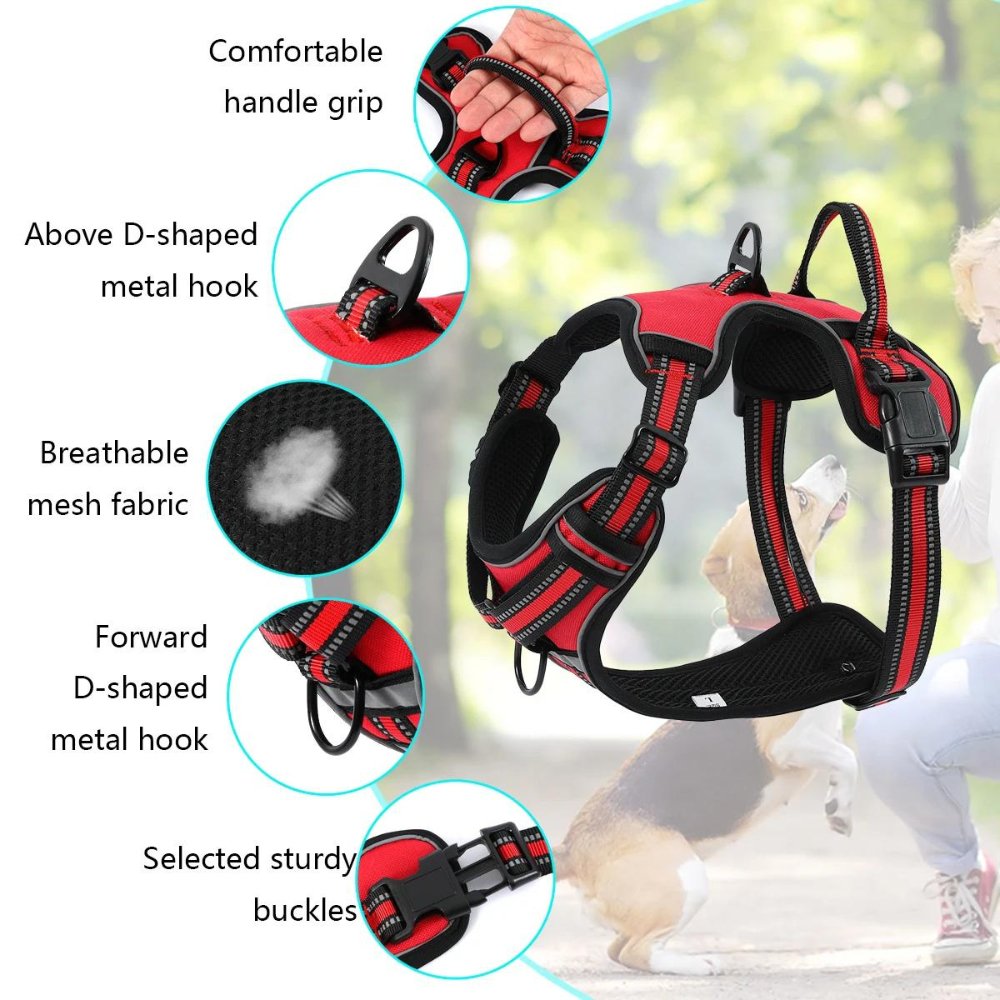 FlexHarness  •  Kein Zieh-Hundegeschirr