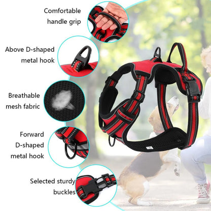 FlexHarness  •  Kein Zieh-Hundegeschirr