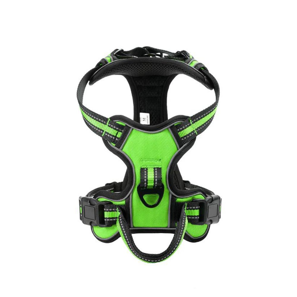 FlexHarness  •  Kein Zieh-Hundegeschirr