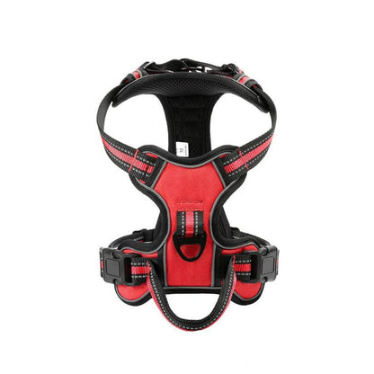FlexHarness  •  Kein Zieh-Hundegeschirr