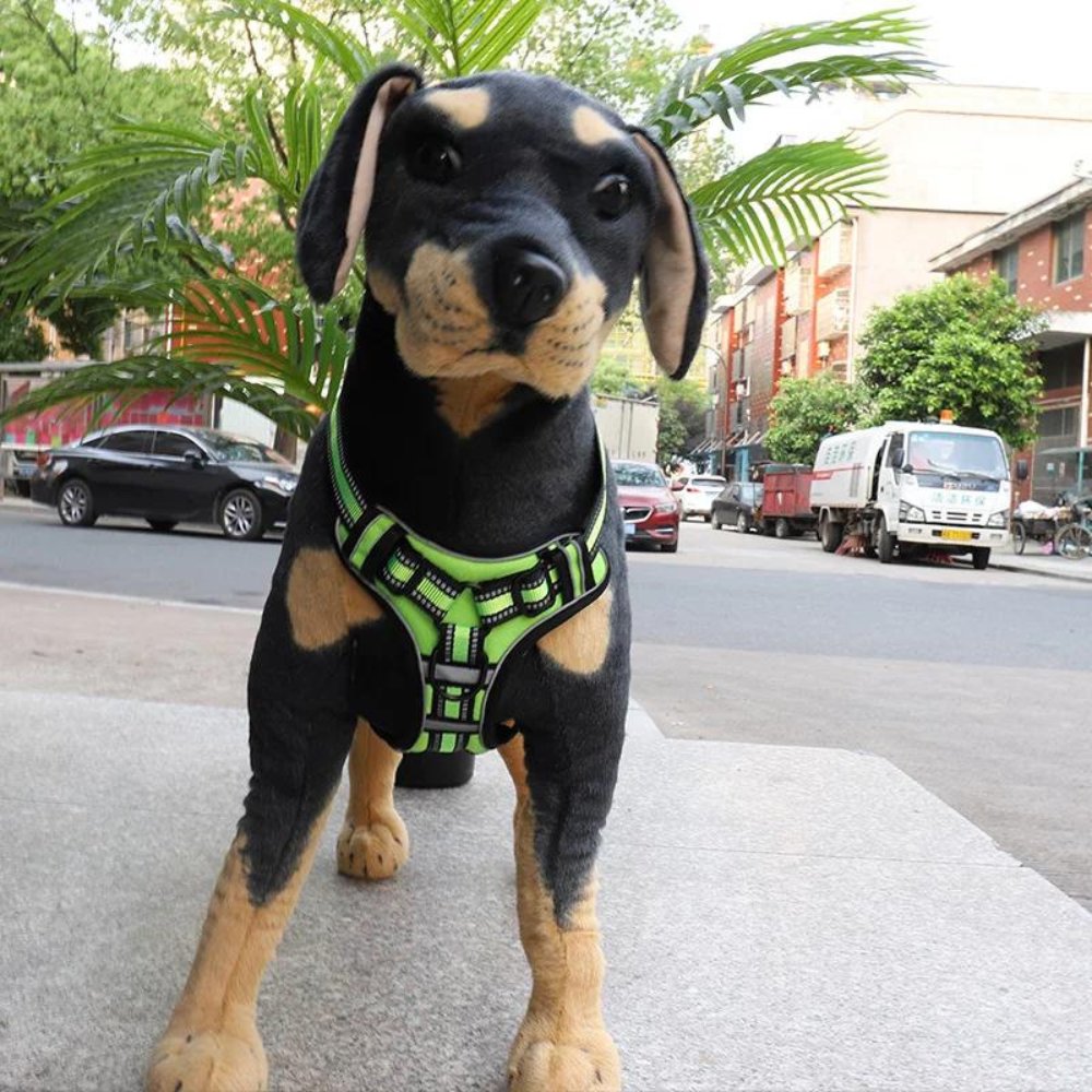 FlexHarness  •  Kein Zieh-Hundegeschirr