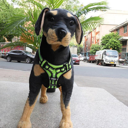 FlexHarness  •  Kein Zieh-Hundegeschirr