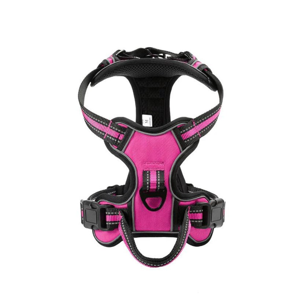 FlexHarness  •  Kein Zieh-Hundegeschirr