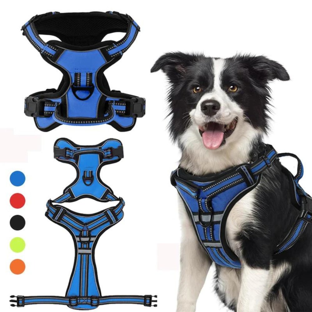 FlexHarness  •  Kein Zieh-Hundegeschirr