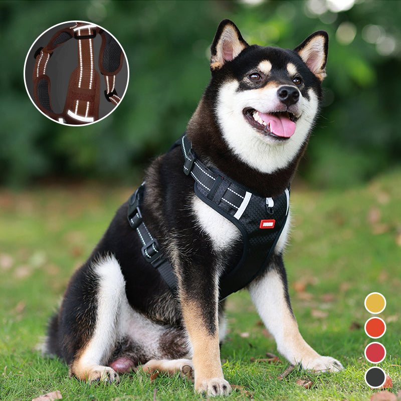 Reflektierender Hunde-Brustgurt | Brehn