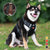 Reflektierender Hunde-Brustgurt | Brehn