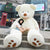 Brehn | Riesiger Plüsch-Teddy – HugHero