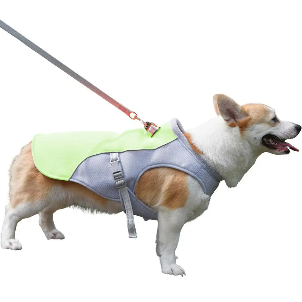 Hundekühlweste für Outdoor-Aktivitäten | Brehn