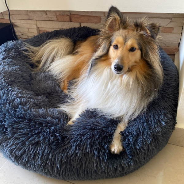 Brehn | Beruhigendes waschbares Hundebett-Kissen aus Kunstfell
