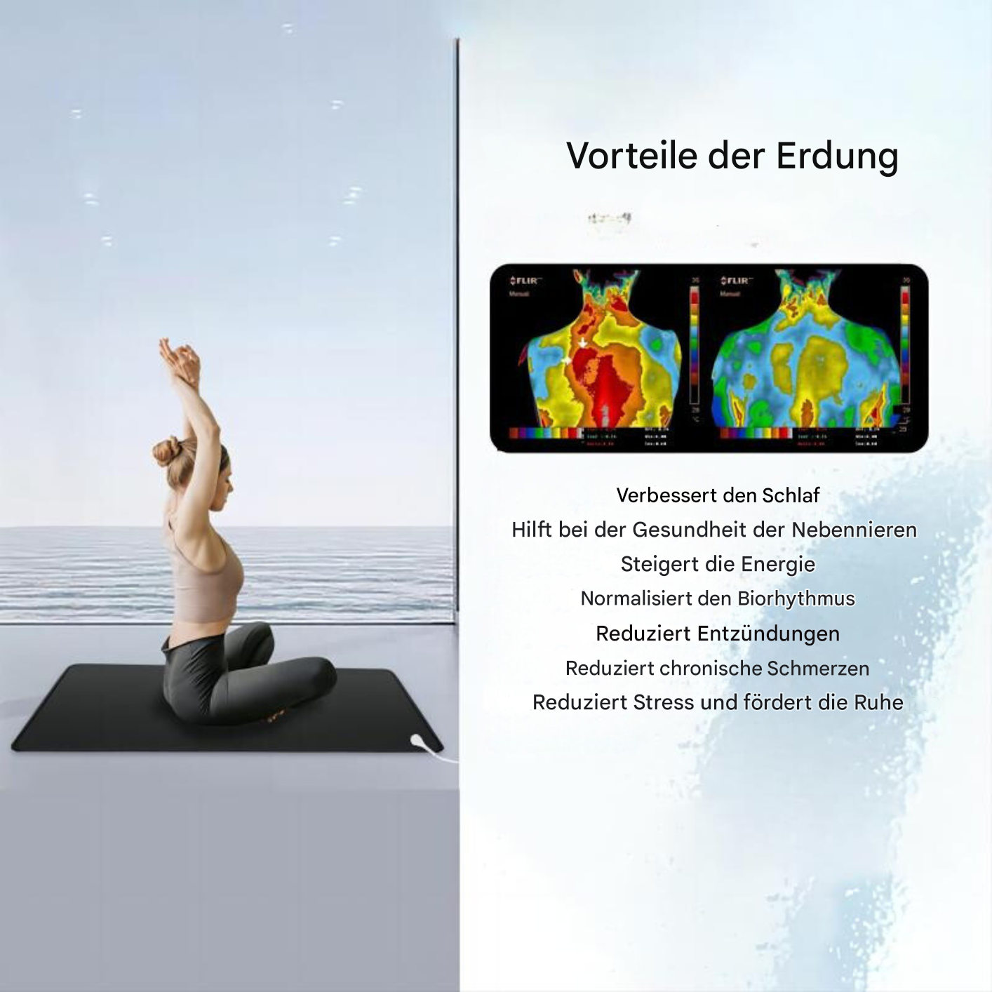 Brehn | Kohlenstoffleder Erdungsmatte – EarthConnect