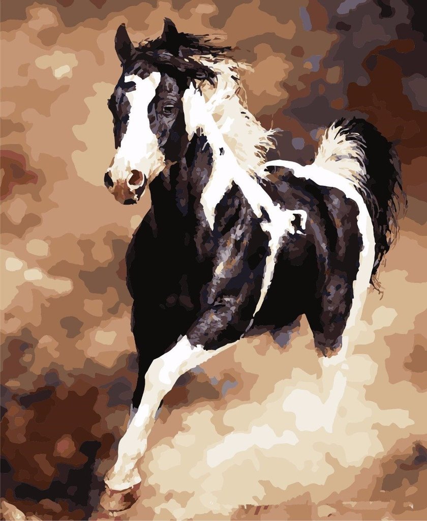 Galloping Horse - Van-Go Malen-nach-Zahlen Set | Brehn