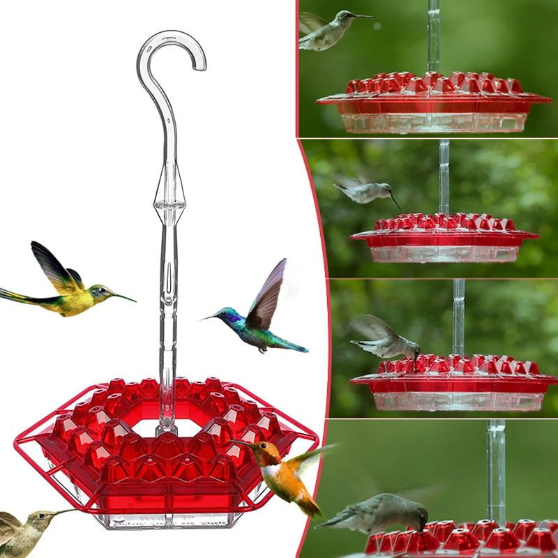 Brehn | Kolibri-Futterstation mit Sitz und integriertem Ameisenmoat