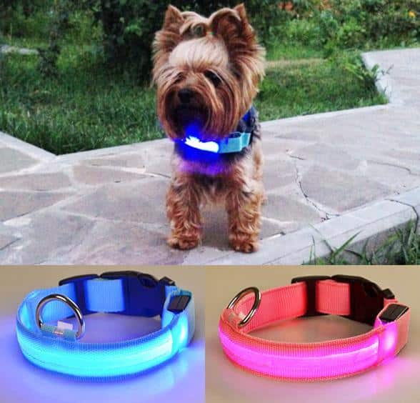 Hundehalsband mit LED-Licht | Brehn