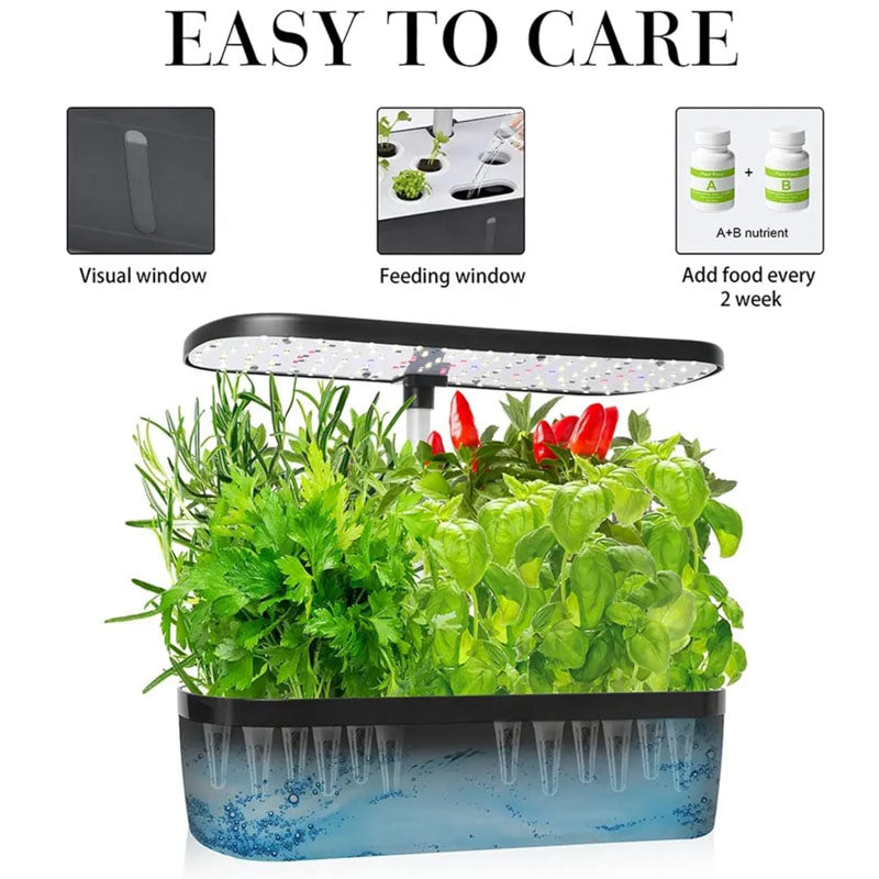 Innovatives Hydroponik-Anbausystem – 12 Pods Kit