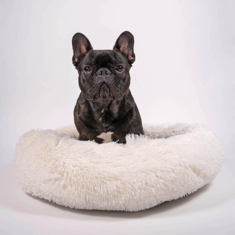 Brehn | Runder Plüsch Beruhigender Donut Hundebett für kleine bis große Hunde