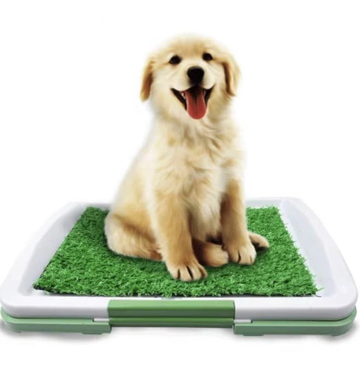 Hundetoilette mit Kunstrasen