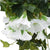 Brehn | FloraDecor Girlande