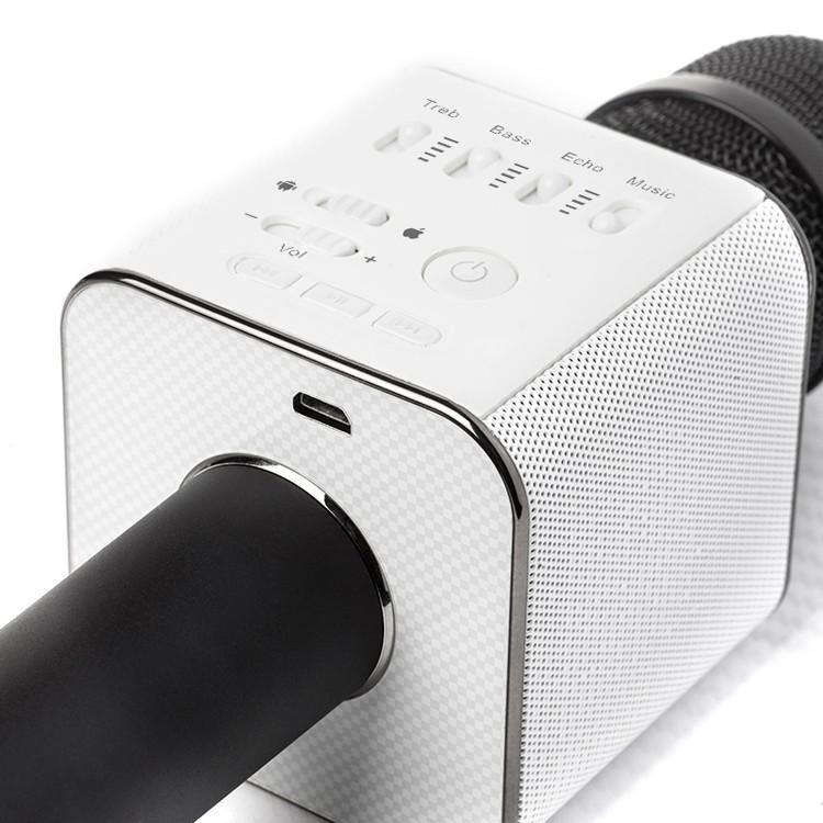 Karaoke-Mikrofon Bluetooth mit Lautsprecher | Brehn
