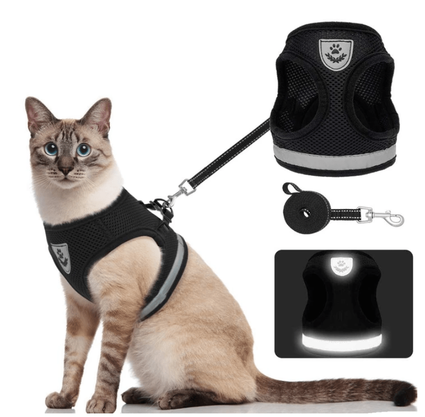 Ausbruchsicheres Katzengeschirr mit reflektierenden Details