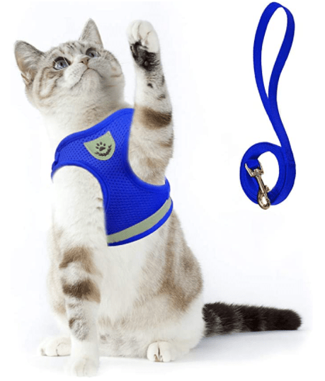 Ausbruchsicheres Katzengeschirr mit reflektierenden Details