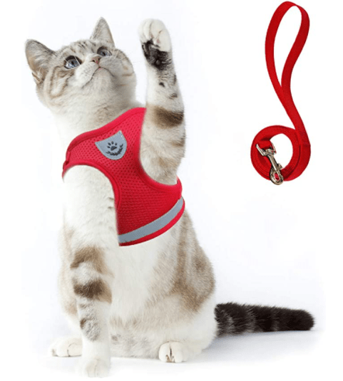 Ausbruchsicheres Katzengeschirr mit reflektierenden Details