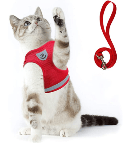 Ausbruchsicheres Katzengeschirr mit reflektierenden Details