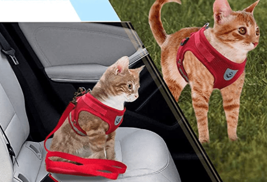 Ausbruchsicheres Katzengeschirr mit reflektierenden Details