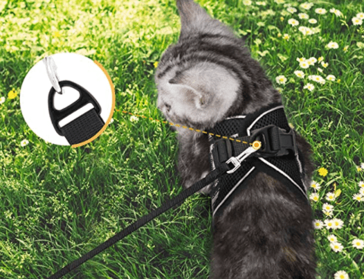 Ausbruchsicheres Katzengeschirr mit reflektierenden Details