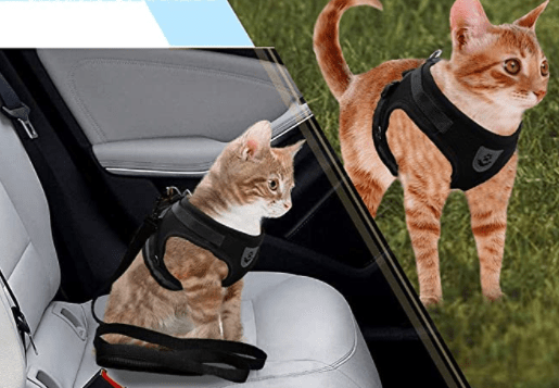 Ausbruchsicheres Katzengeschirr mit reflektierenden Details