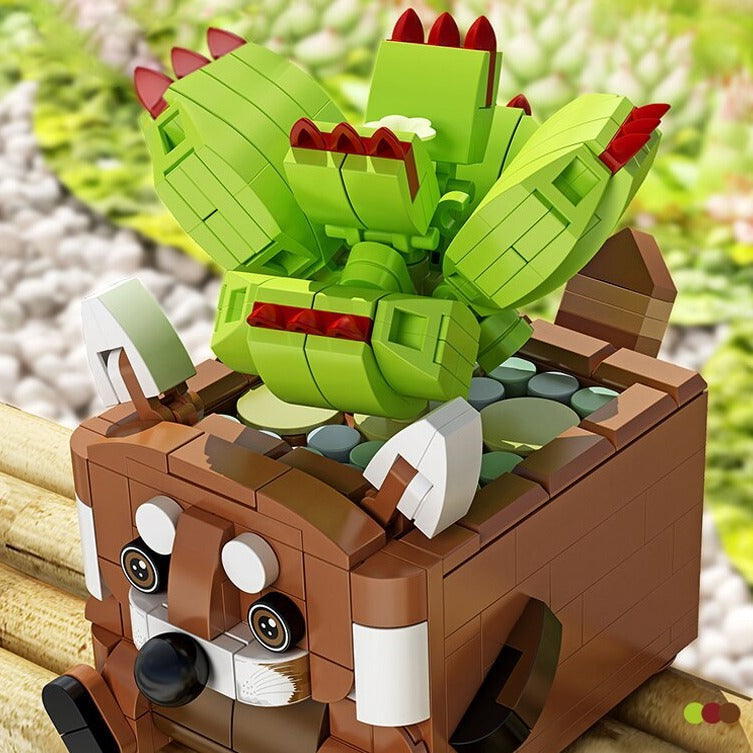 Brehn | Cactus Sukkulente Tier Pflanzentöpfe Bausätze
