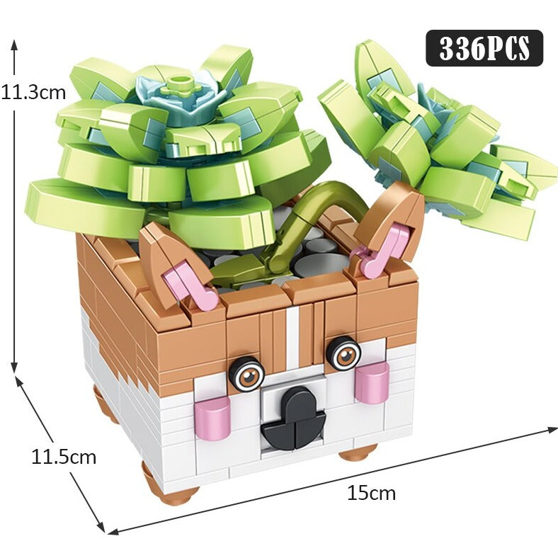 Brehn | Cactus Sukkulente Tier Pflanzentöpfe Bausätze