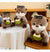 Brehn | Cooler Kokosnuss-Otter Plüschtier