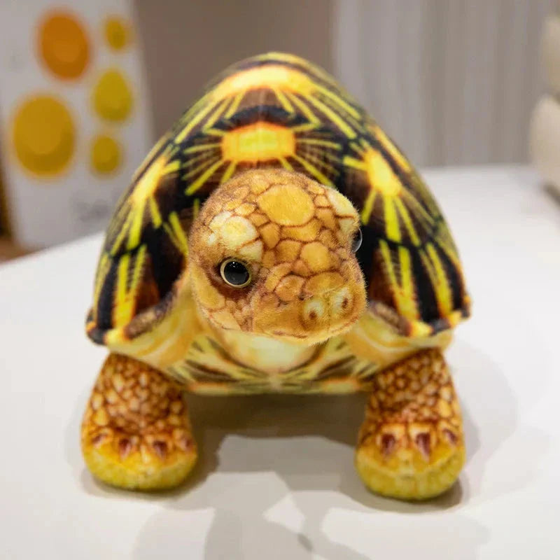 Brehn | Süßer lebensechter Schildkröten-Plüschie