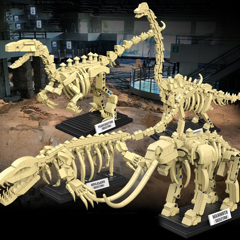 Brehn | Dinosaurierfossil-Skelette Bausteine Sammlung 2 | BEGRENZTER BESTAND