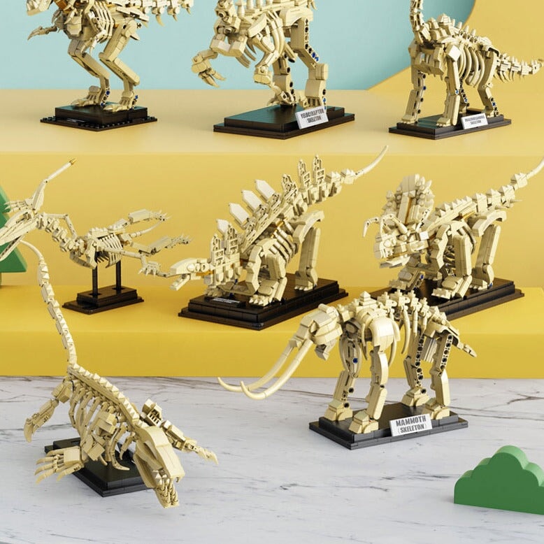 Brehn | Dinosaurierfossil-Skelette Bausteine Sammlung 2 | BEGRENZTER BESTAND