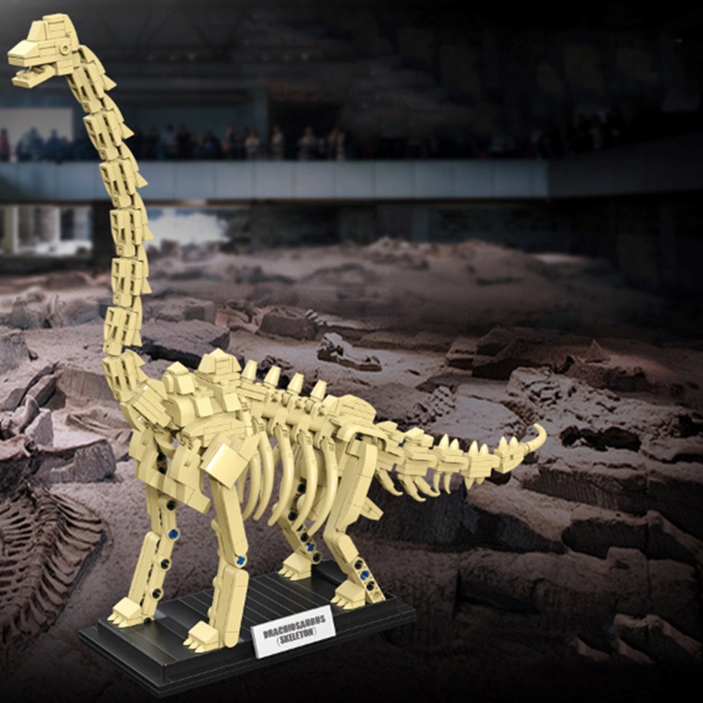 Brehn | Dinosaurierfossil-Skelette Bausteine Sammlung 2 | BEGRENZTER BESTAND