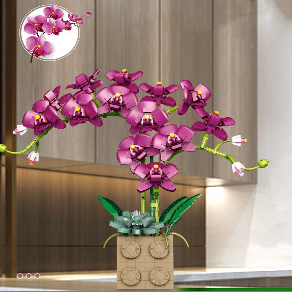 Brehn | Riesige blühende Orchideenblüten-Bausatzkollektion