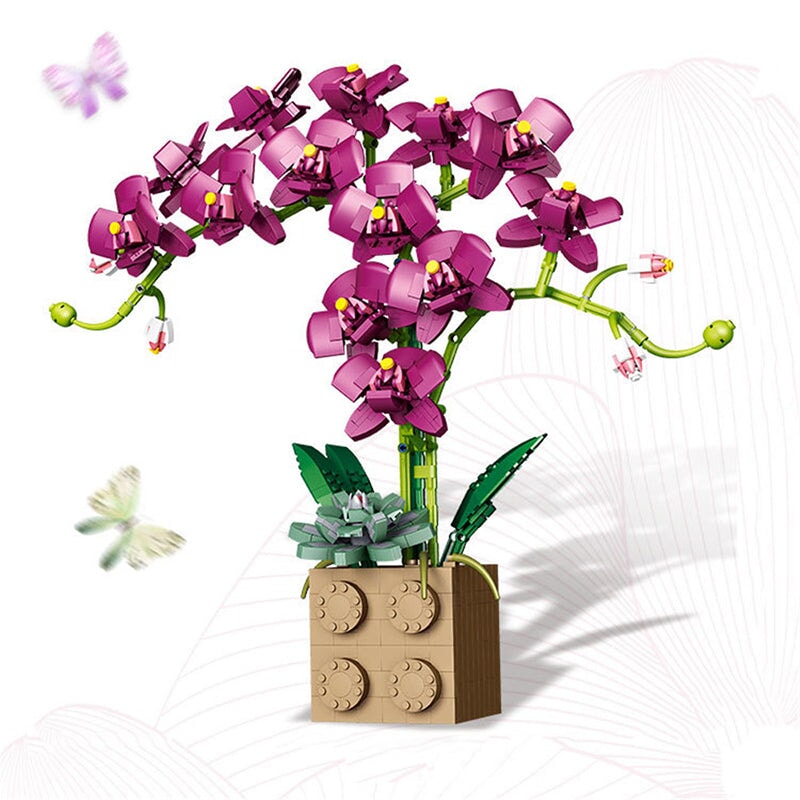 Brehn | Riesige blühende Orchideenblüten-Bausatzkollektion