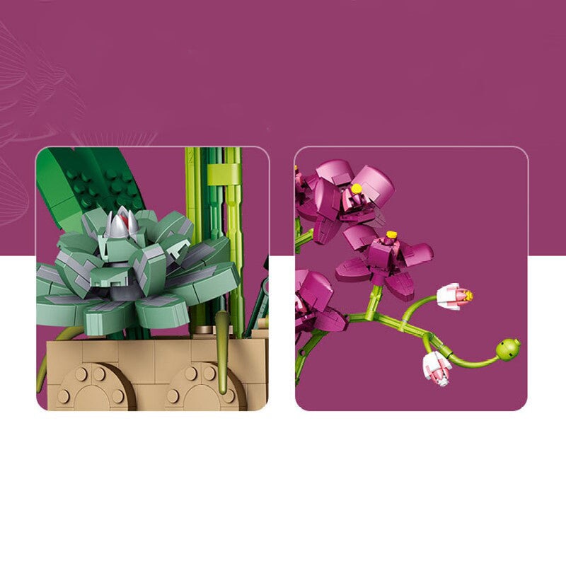 Brehn | Riesige blühende Orchideenblüten-Bausatzkollektion