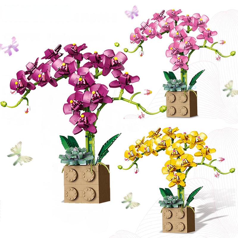 Brehn | Riesige blühende Orchideenblüten-Bausatzkollektion