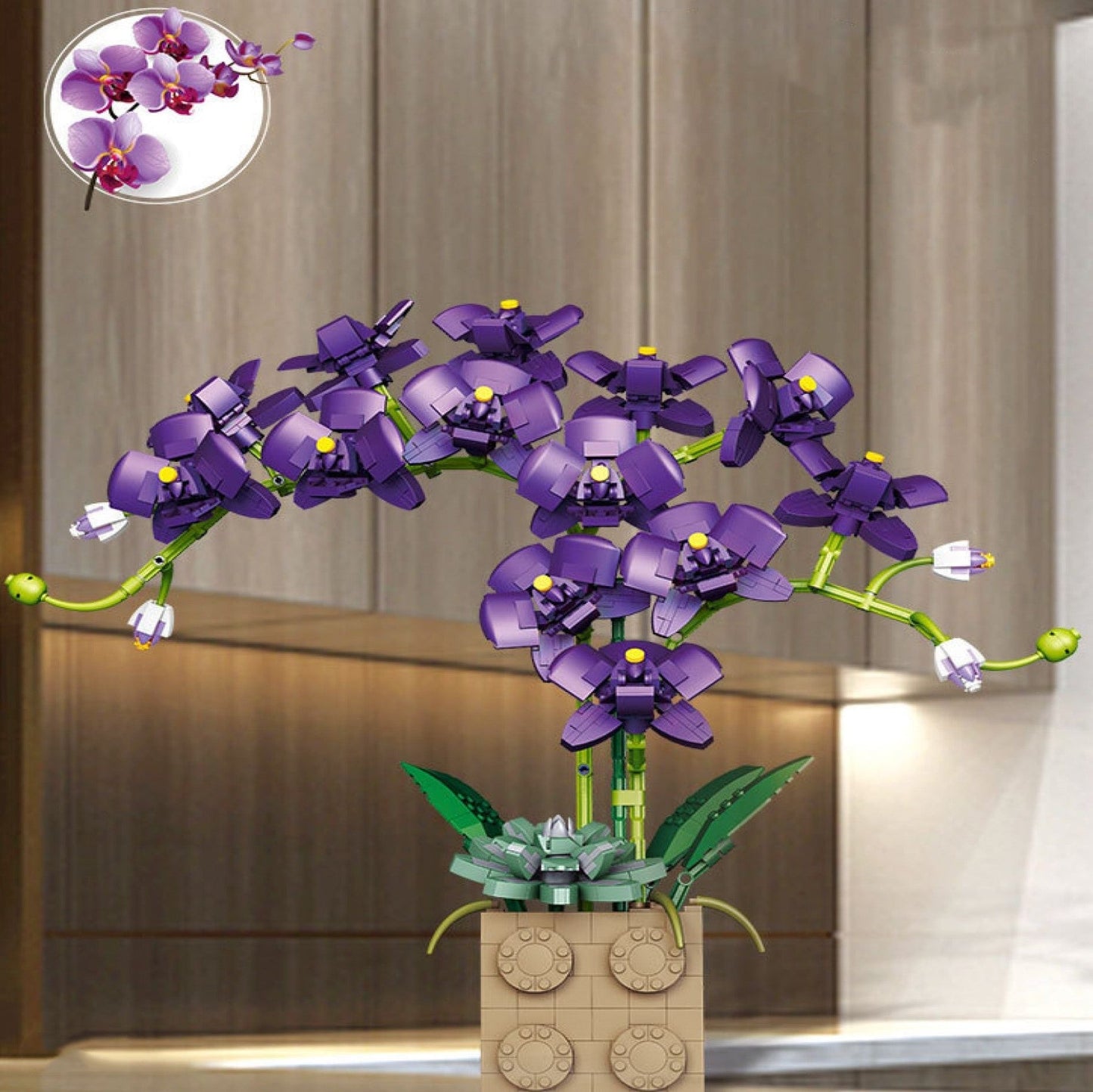 Brehn | Riesige blühende Orchideenblüten-Bausatzkollektion