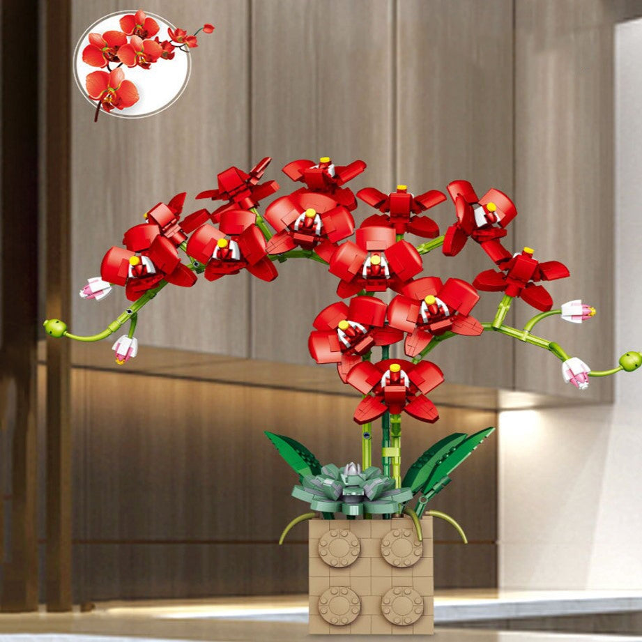 Brehn | Riesige blühende Orchideenblüten-Bausatzkollektion