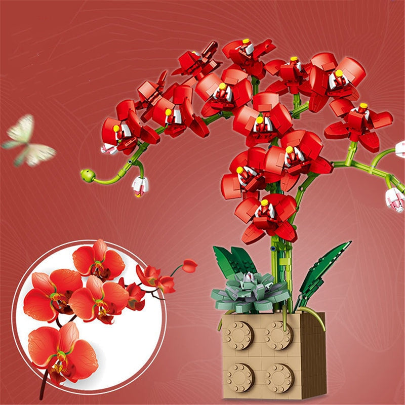 Brehn | Riesige blühende Orchideenblüten-Bausatzkollektion