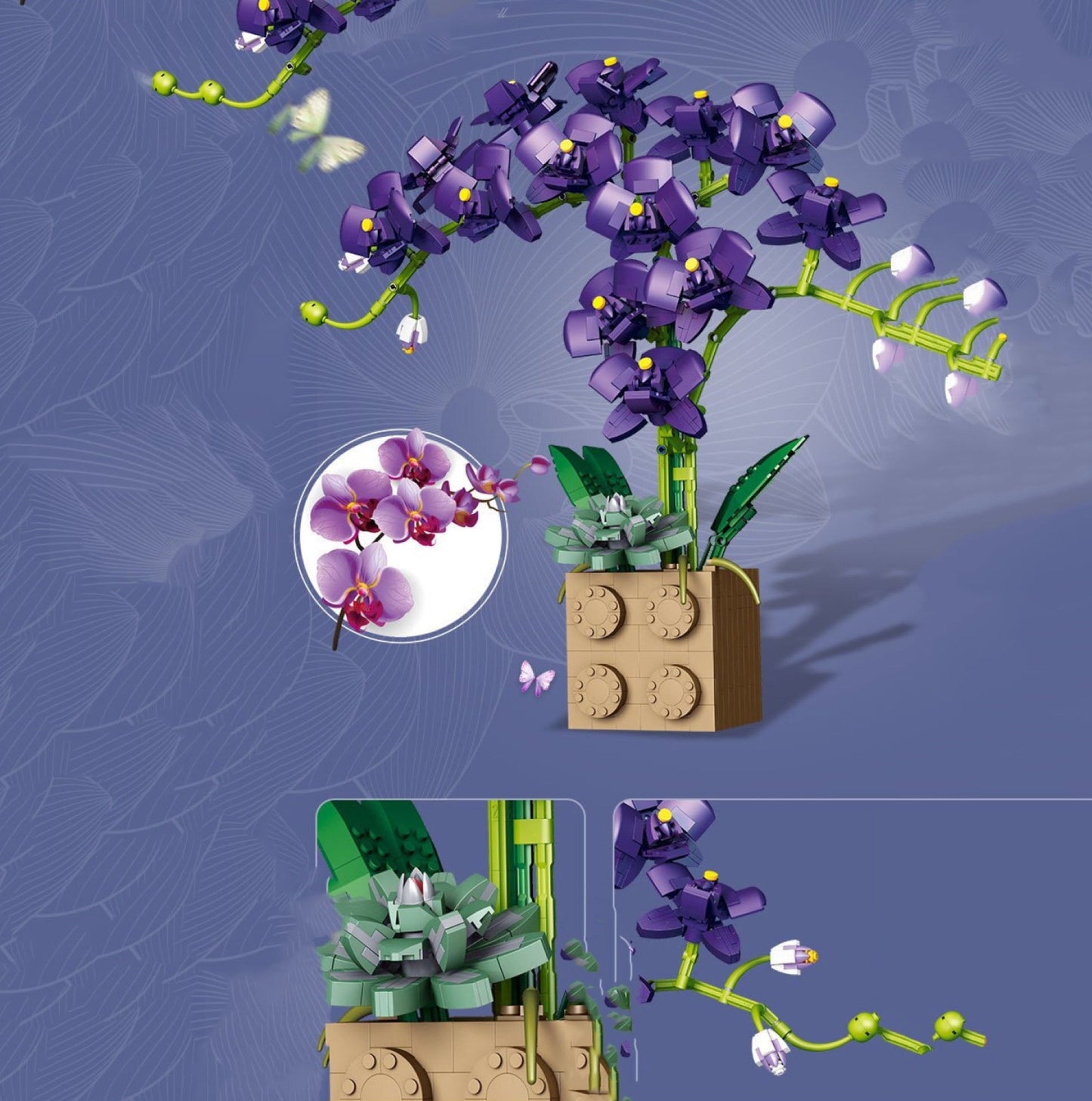 Brehn | Riesige blühende Orchideenblüten-Bausatzkollektion